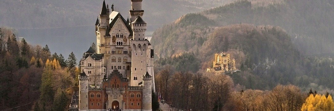 gallery/untitled design (16)