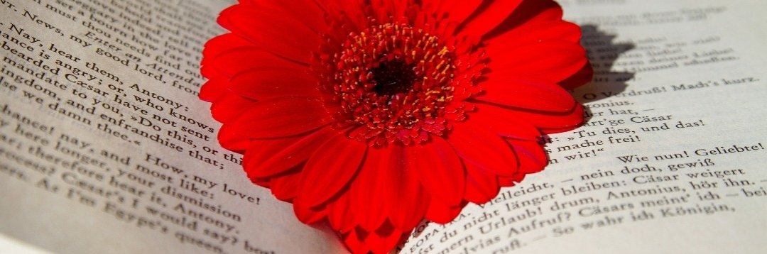 gallery/untitled design (7)