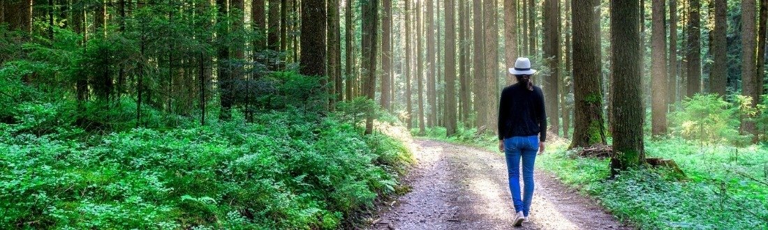 gallery/copy of untitled (12)